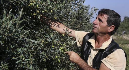 Albania works toward better adaptation to climate change