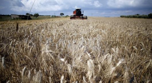 Serbian grain takes big stage in Geneva