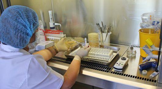 Безопасность пищевых продуктов и устойчивость к противомикробным препаратам