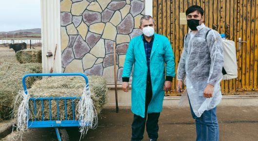 Trainings of artificial insemination specialists improve cattle productivity and livelihoods in Azerbaijan