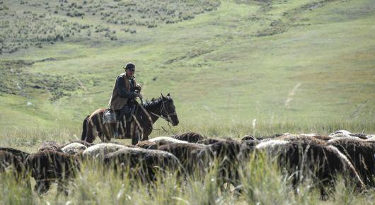 Kazakhstan works toward securing precious pastures for future generations