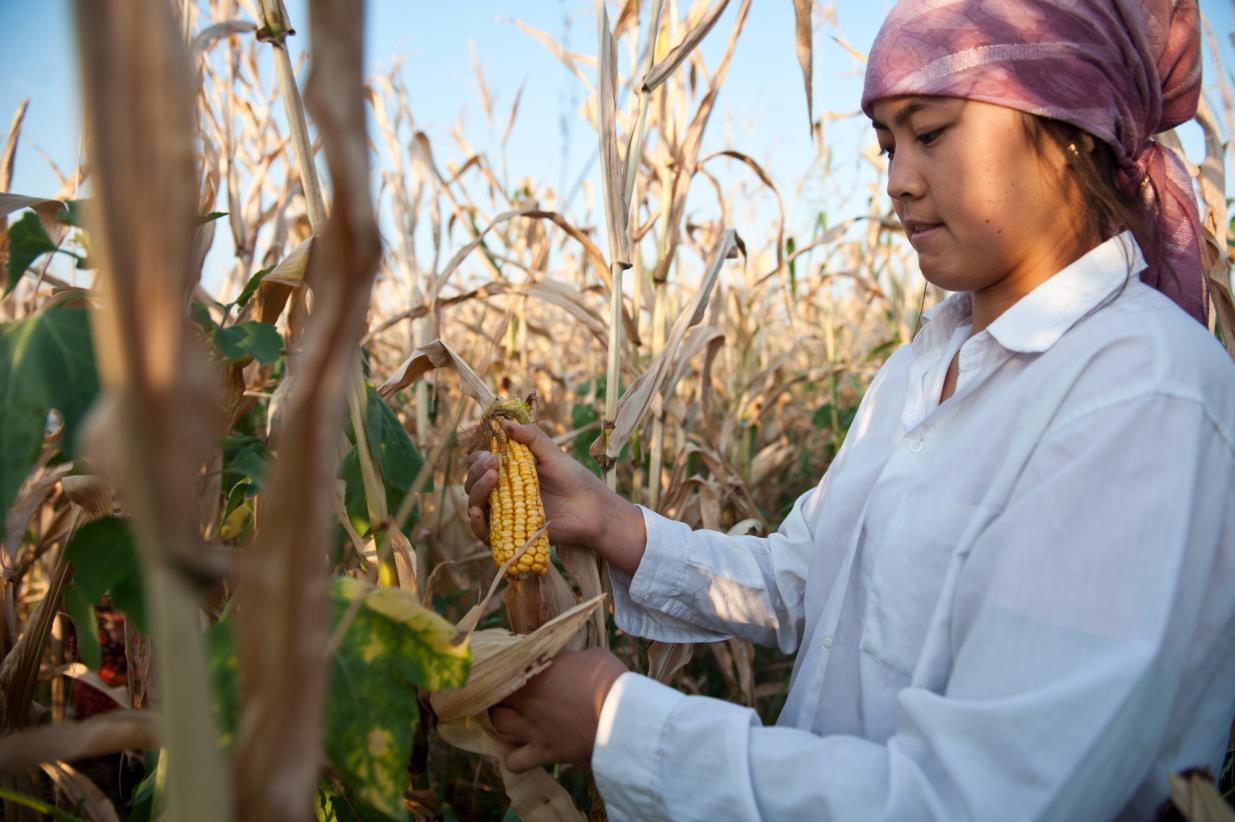 Virtual event showed ways to keep family farming alive through the pandemic