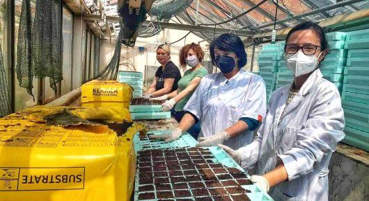 North Macedonia’s agriculture becomes more climate resilient through quality seed production