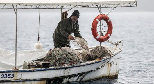 FAO starts the dialogue on COVID-19 impact on fisheries and aquaculture for Europe and Central Asia