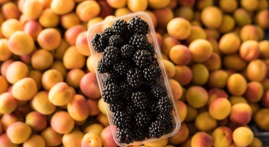 Azerbaijan, Central Asia, and Turkey explore new solutions to food loss and waste