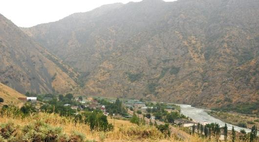 UNECE, FAO take stock of scarce forest resources of Central Asia and the Caucasus