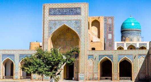 Uzbekistan sets sights on new forest monitoring system