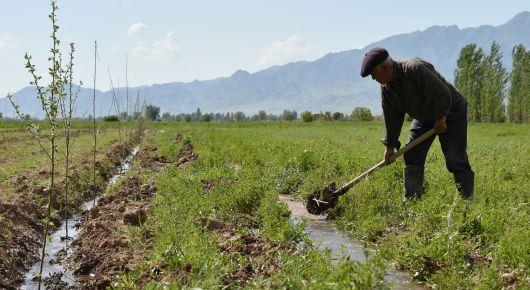 Central Asian ministers ready to help farmers withstand climate change