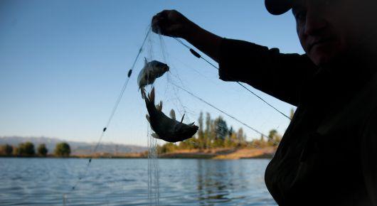Countries discuss methods to progress pond aquaculture