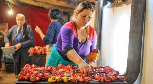 EBRD, FAO continue raising food safety standards in Serbia while preserving traditions