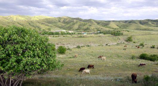 GEF allotment helps Azerbaijan and Tajikistan protect natural resources and biodiversity