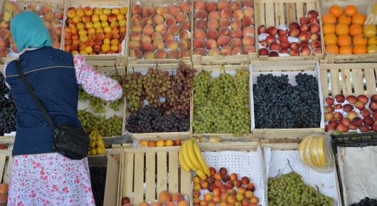 Astana Economic Forum sheds light on food security and nutrition