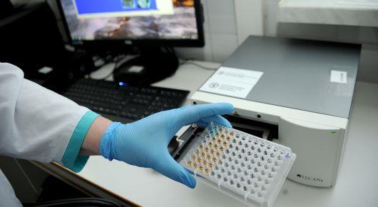 Kosovo prepares for diagnosis of African swine fever