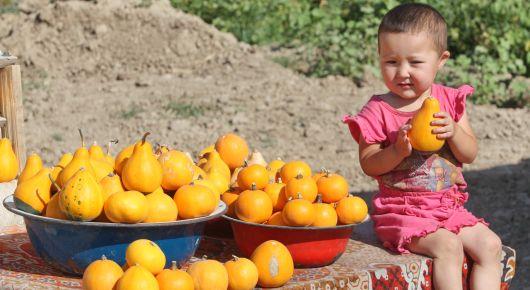 Infographics gives an easy overview on food security and nutrition in Kyrgyzstan