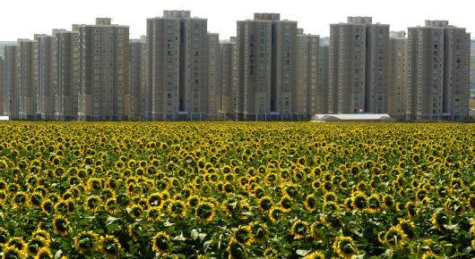 FAO initiates integrated land-use planning in Turkey