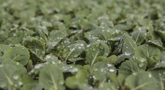 Western Balkan countries join forces on the road to climate action