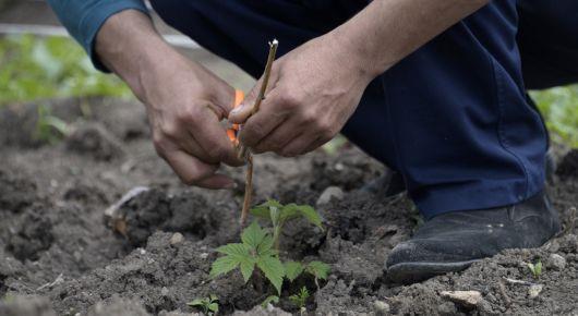 “We cannot exploit the soil for decades”