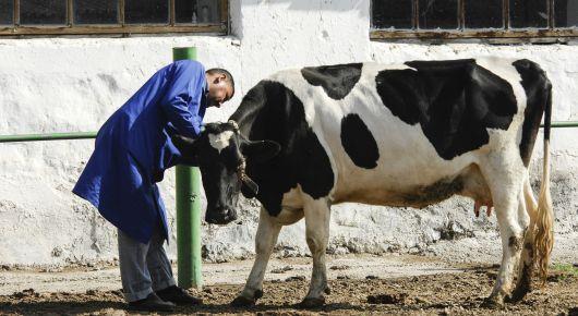 United in the One Health approach to protect antimicrobials