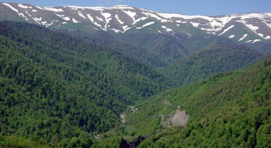 Armenia harmonizes forest monitoring system