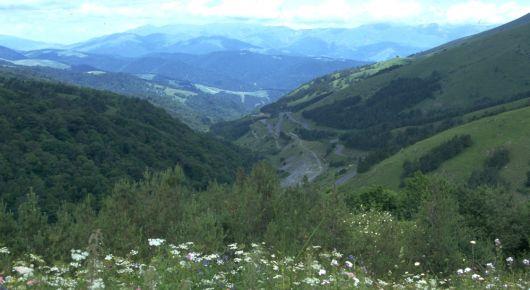 Forest monitoring made easier with new FAO, UNECE guideline