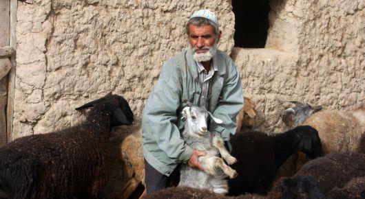 New platform to tackle human, animal, and environmental health challenges