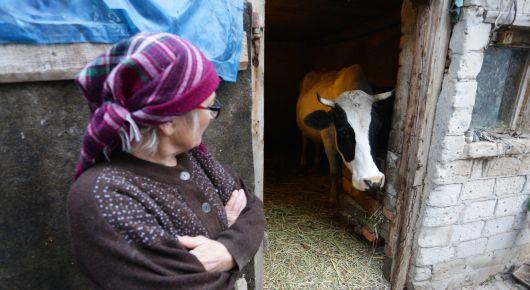 Gender equality in livestock keeping ensures an inclusive and sustainable future