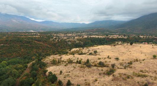 FAO helps achieve COP26 goals in agriculture, land use
