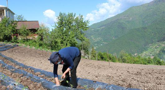 Social protection measures offer help in countering COVID-19 impacts