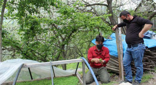 Amid ample food supplies, FAO reveals snarls in distribution during COVID-19 pandemic