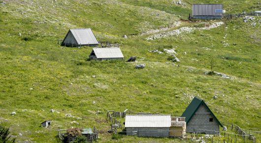 Connecting traditional with modern for more resilience and sustainability in agriculture