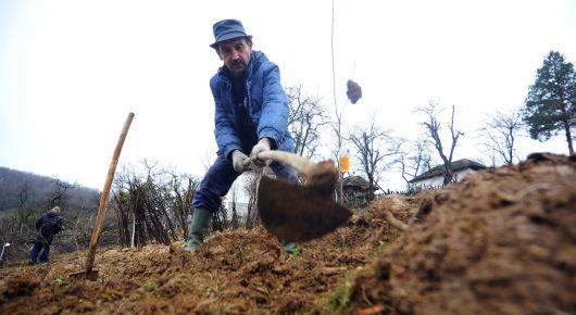Serbia project to restore soil health through improved detection methods