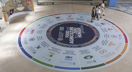FAO workshop spurs regional dialogue on multi-stakeholder partnerships to combat climate change