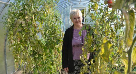 Helping women fulfil potential in rural Ukraine can make agriculture sector more efficient