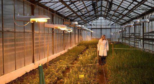 Partnering with academia accelerates achieving sustainable agrifood systems