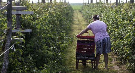 Ensuring rural development through better access to land for women in the Western Balkans