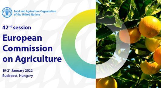 Countries of Europe and Central Asia look at various aspects of food systems’ transformation