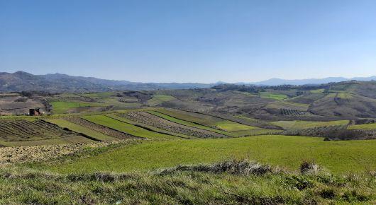 UN initiative helps farmers in Albania invest in local agricultural production
