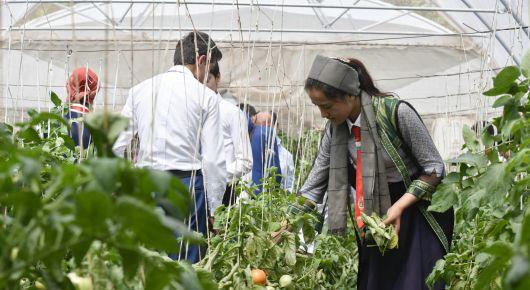 Europe and Central Asia seek ways to create new opportunities for rural youth