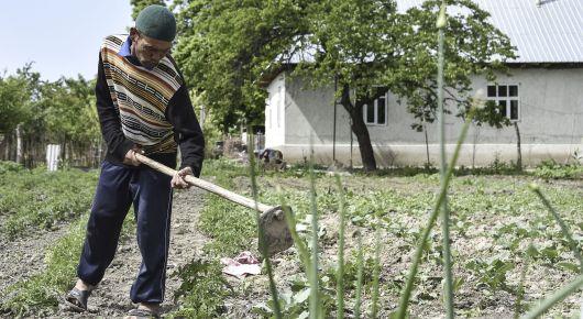 FAO workshop focuses on stronger land markets in Central Asia