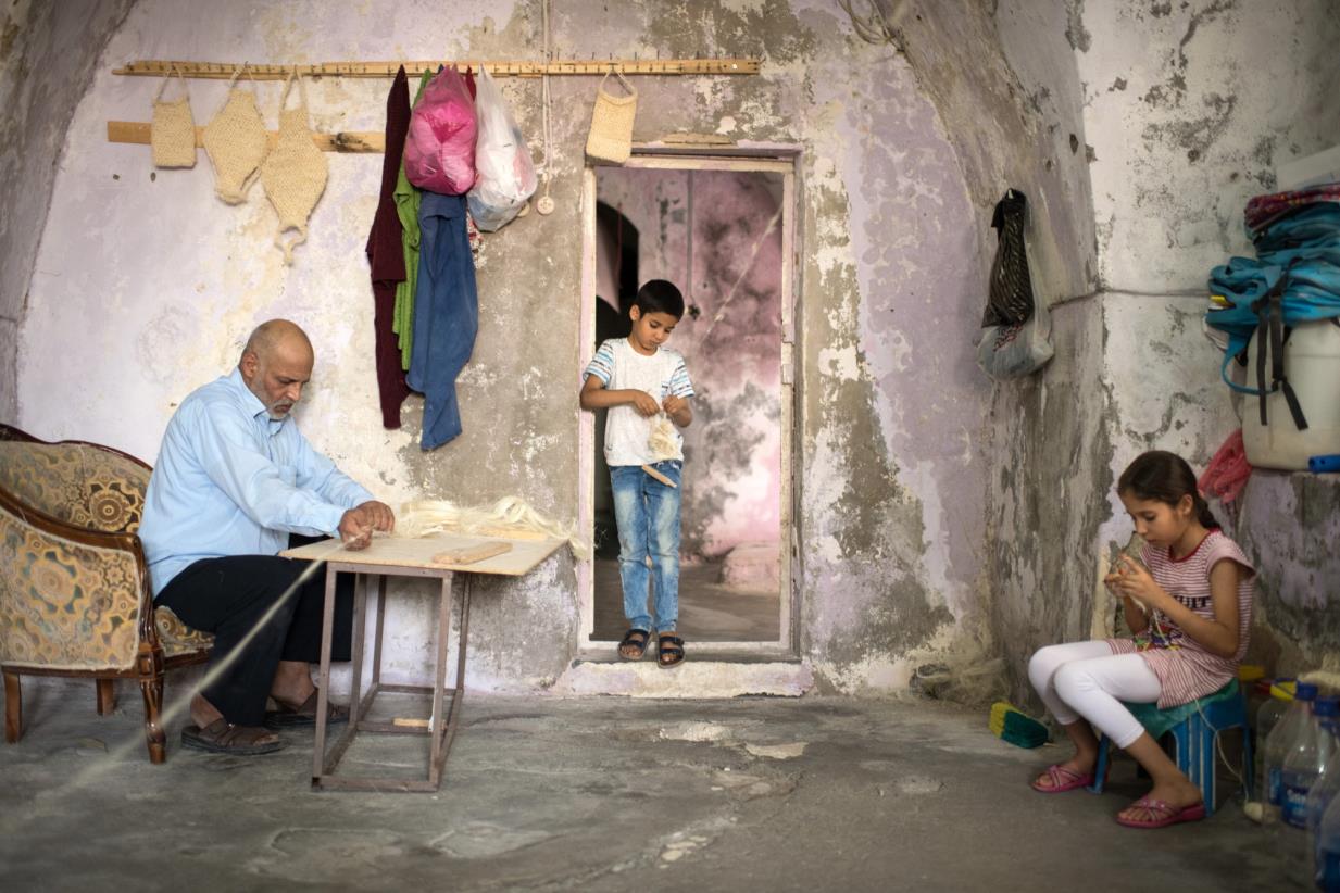FAO launches dialogue in Turkey to increase social protection for rural communities