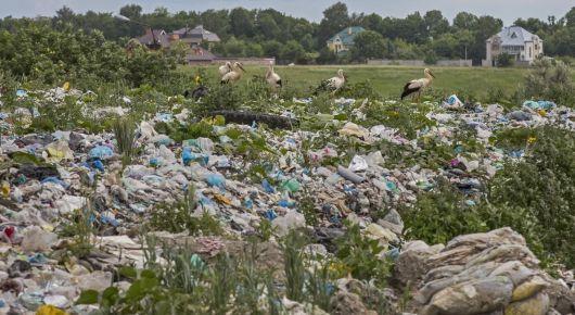 Cutting food waste while improving food security and environment in Ukraine