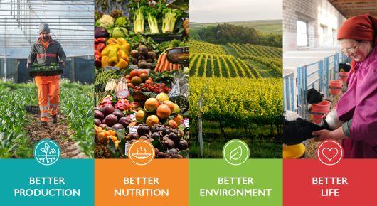 Regional priorities centre on building sustainable agrifood systems and addressing impacts of the Ukraine war