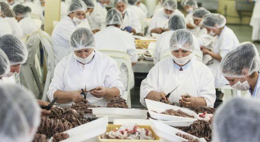 Joint FAO-WHO webinar looks at food safety control and management in 2020