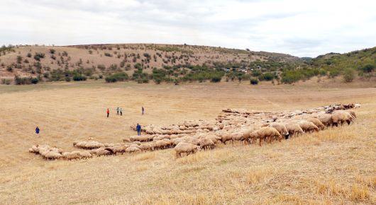 Statisticians receive practical help to carry out agricultural census