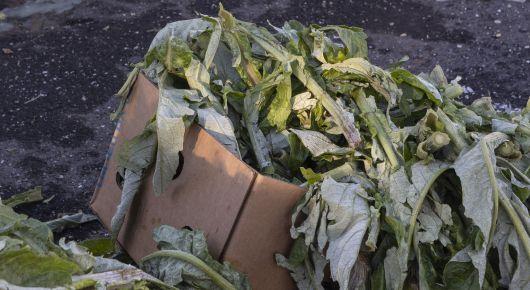 Conference participants discuss how to combat food loss and waste