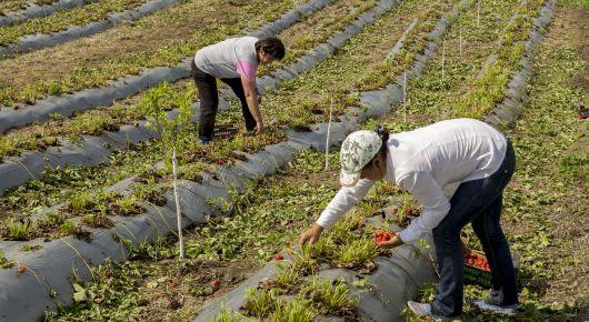 Moldovan efforts work towards gender equality