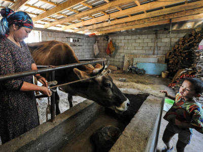Central Asian Animal Health Network members look at the future of animal health and One Health