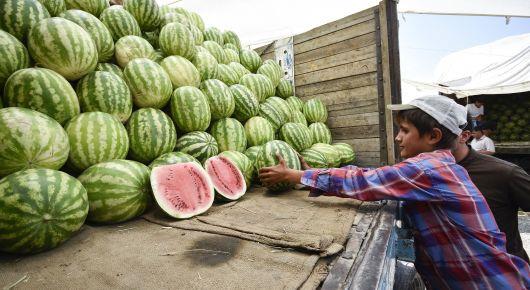 Stronger linkages of cities and rural areas back efficient food systems in Tajikistan