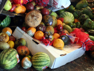 food loss and waste