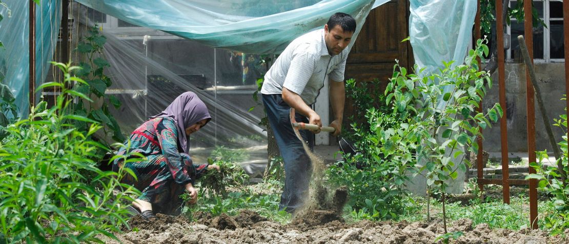 Knowledge sharing helps reconcile agriculture, rural development, and migration policies